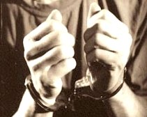 За воровство 2 мешков орехов днепропетровским подросткам грозит 6 лет тюрьмы