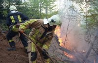 Масштабна пожежа на Закарпатті: горять близько 75 га лісу