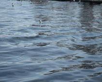 В днепропетровских водоемах за 2 дня утонули 2 человека