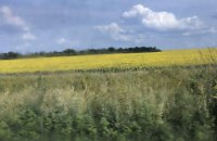 Переміщені долі, переміщені університети: для тих, хто не вірить