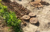 У Житомирі жінка знайшла на присадибній ділянці арсенал зброї часів Другої світової війни