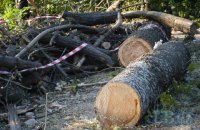 Протасів Яр: забудовник продовжує рубати дерева