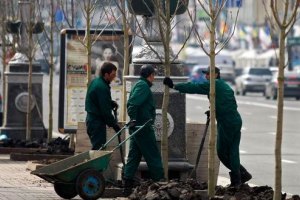 Киев закупил каштаны у ранее оскандалившегося поставщика
