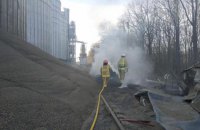 Російська крилата ракета влучила в елеватор на Житомирщині 