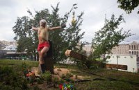 Милиция возбудила уголовное дело за спиленный FEMEN крест