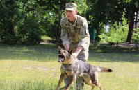 У прикордонній зоні Ужгородського району Закарпаття ввели додаткові обмеження