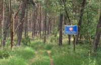 У Польщі зафіксували понад 700 спроб незаконного перетину кордону з Білорусі