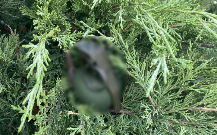 На столичному Печерську зайшли гранату