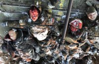 ​"Не хвилюйтесь, ворога люто знищують", - у Міноборони пояснили, чому втрати росіян "застигли" на 12 тис.