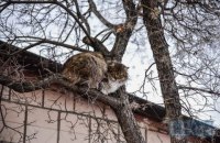 В понедельник в Киеве тепло и сухо, до +6 градусов