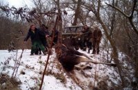 В Харьковской области сотрудники ГосЧС спасли лося, который не мог переплыть речку 