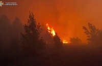 Міндовкілля затвердило методику, за якою рахуватимуть збитки лісам, завдані російським вторгненням