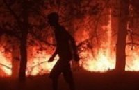 В Дарнице сгорели пять балконов