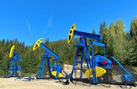 Велике нафтобудівництво. Влада вирішила створити єдину державну нафтову компанію?