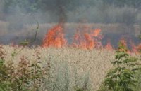 Рейдеры подожгли урожай Аркадия Корнацкого