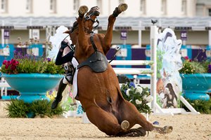 Grand National: у лошади при виде барьера не выдержало сердце