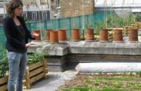 Жители Парижа разбивают сады на своих крышах