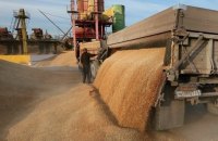 Мінагрополітики: в серпні Україна експортувала 1,4 млн тонн агропродукції