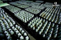 Євросоюз зможе виготовити 1,3 млн снарядів до кінця року, – єврокомісар Бретон