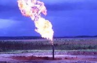 Россия сократила добычу и экспорт газа в 2012 году