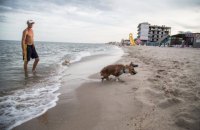 ​Мэра Затоки отстранили от должности