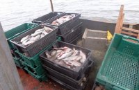 Россия захватила до 90% рыболовецких ресурсов Украины в Черном море