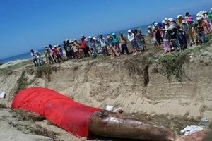 Во Вьетнаме устроили похороны кита