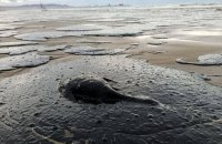 Розлив мазуту з танкерів у Чорному морі: всі пляжі російської Анапи виявилися недоступними для купання