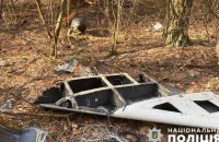 Вибухотехніки знищили бойову частину ворожого "Шахеда", який збили біля Києва