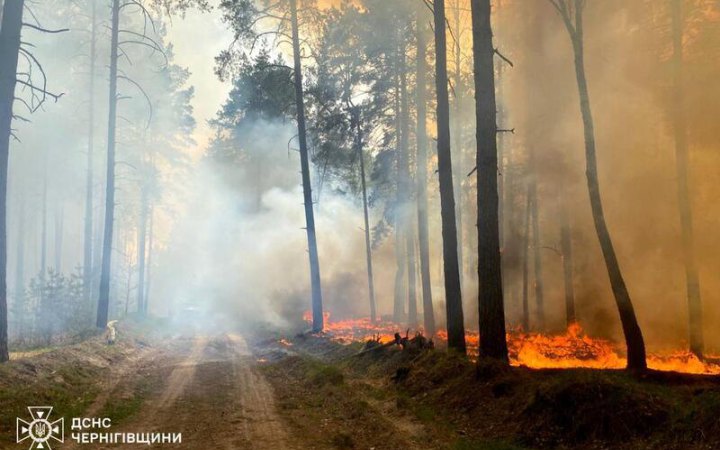 На Чернігівщині ліквідували пожежу у ліcі, вогонь охопив 350 га