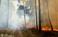 На Чернігівщині ліквідували пожежу у ліcі, вогонь охопив 350 га