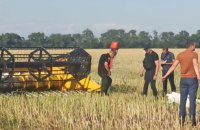 На рапсовому полі в Дніпропетровській області знайшли тіло 8-річної дитини