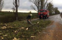 У Закарпатській області через сильний вітер знеструмлено 11 населених пунктів
