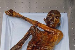 Ученые узнали меню последнего ужина ледяного человека Отци