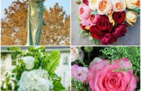 Доставляя цветочное счастье в Одессу