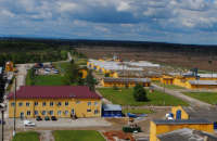На Прикарпатье из-за поломки кондиционера погибли 670 свиней