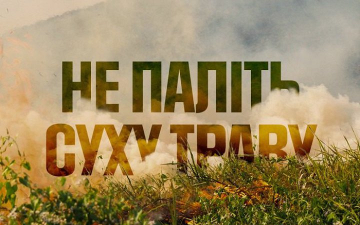 Спека та спалення сухостою призвели до зростання кількості пожеж на відкритих територіях, – ДСНС