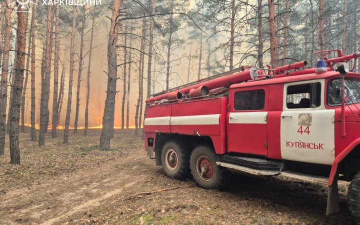 Російські обстріли спричинили велику лісову пожежу на Харківщині