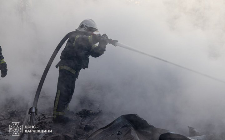 Головне за ніч та ранок неділі, 2 серпня: понад 230 боєзіткнень, День Повітряних сил, атаки дронів на Харків