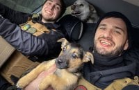Як допомагати тваринам, якщо ви ніколи цього не робили, але дуже хочете?