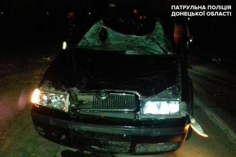На трассе под Мариуполем автомобиль сбил насмерть коня