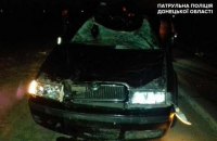На трассе под Мариуполем автомобиль сбил насмерть коня