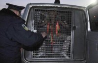МИД не видит оснований реагировать на инцидент с FEMEN в Беларуси