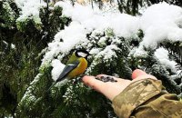 На новорічні свята в Україні буде тепло і майже без опадів, -  синоптики