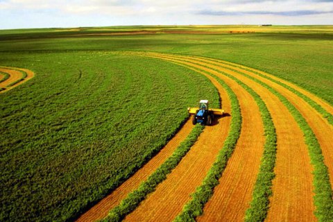 Украина уступила лишь Индонезии по площади земель, контролируемых иностранными инвесторами