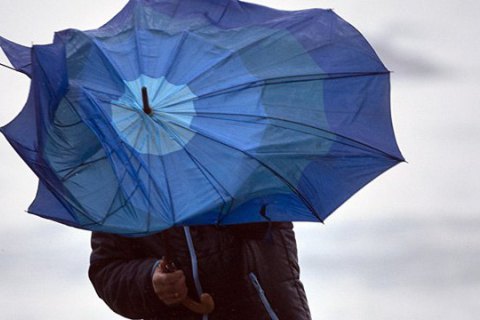 Киеву до конца воскресенья прогнозируют штормовой ветер