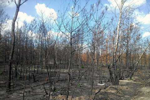 Боевики с полуночи один раз обстреляли позиции украинских военных