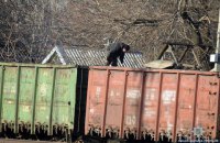 На ж\д станции "Покровск" на протяжении года тоннами воровали уголь
