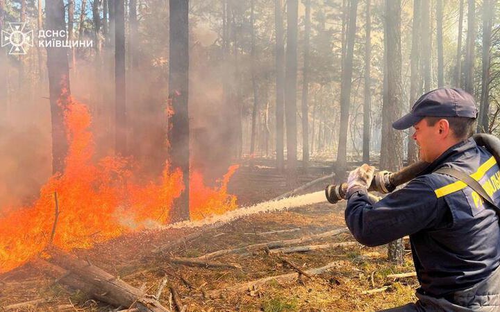 У Чорнобильській зоні досі гасять лісову пожежу, вогонь пройшов 1200 га