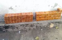 В Донецкой области обнаружили тайник с 20 кг тротила